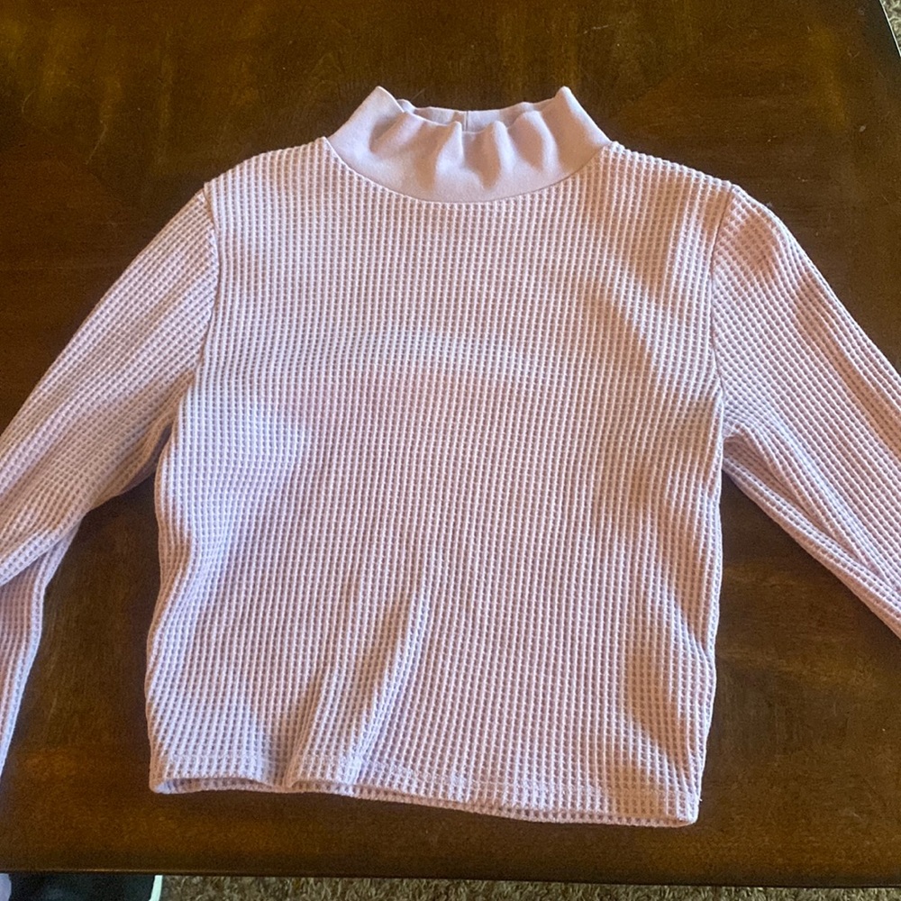 cropped aerie turtle neck